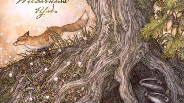 What Holds the World Together