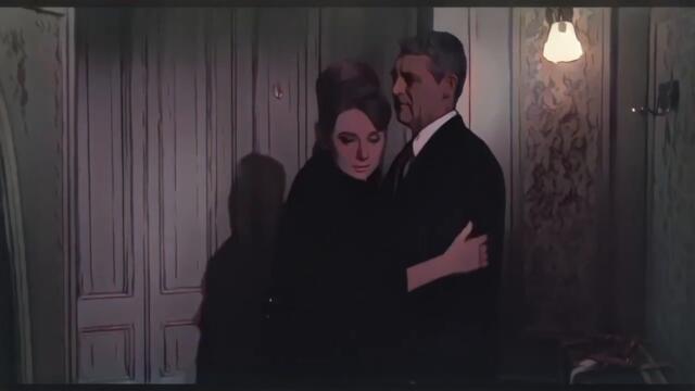 DIY Cartoon Full Classic Movie-Charade 1963, Audrey Hepburn, Cary Grant 1963 Part10