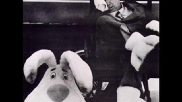 Jessie - Indestructable