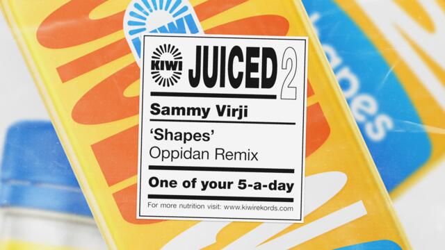 Sammy Virji - Shapes (Oh Will) [Oppidan Remix]