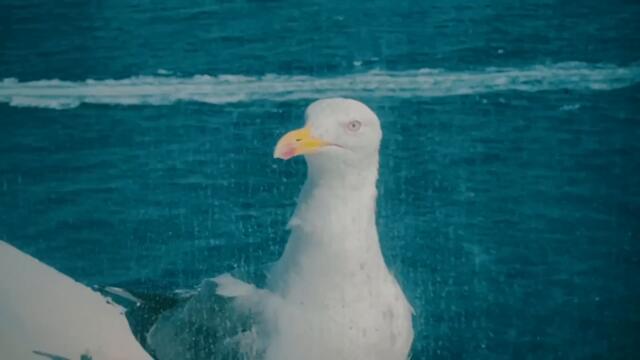 Key Glock - From Nothing (Official Video)