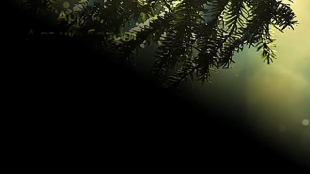 А вънка блести...(Стихове)