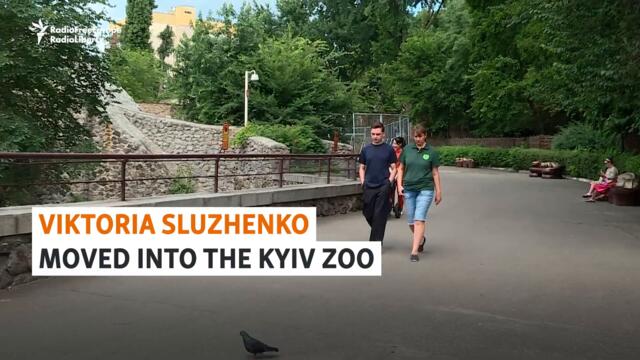 Kyiv Zookeeper Keeps Safe To Care For Animals Amid War