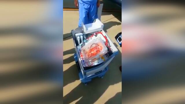 غريب جداً ...  لو لم تسجلها الكاميرات لما صدقها أحد !!!