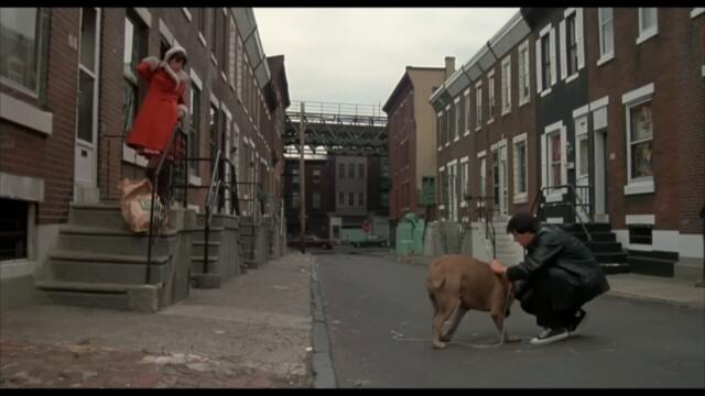 Sylvester Stallone's Wife Files for Divorce