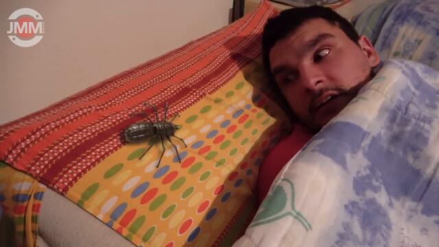 Dame Tu Cosita's HUNGER (Ep336) CLAP your Hands!