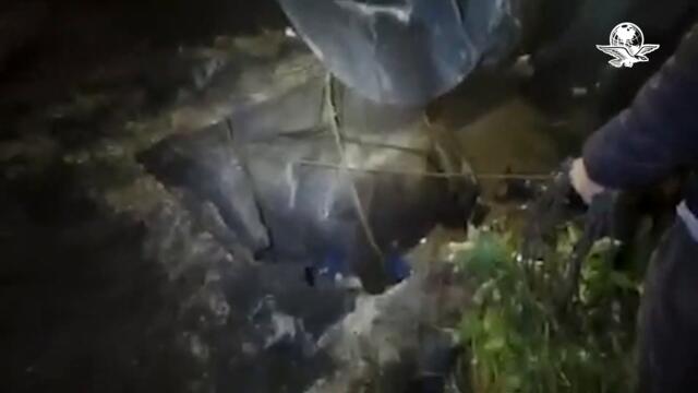 Rescatan a caballo atascado en una coladera en Querétaro