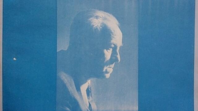 Бели гълъби