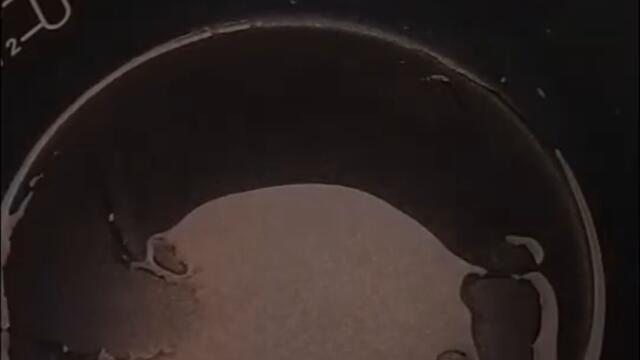 Лесна питка със сирене в мултикукър херметик Тефал Турбо#рецепти #multicooker #tefal