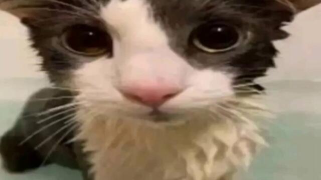 AZIS - SEN TROPE (speed up,bass boosted)