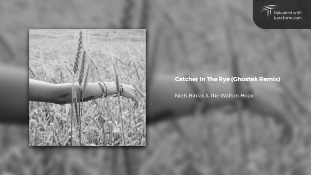 Niels Binias & The Walton Hoax - Catcher In The Rye (Ghostek Remix) | Future Garage