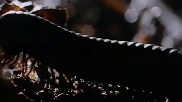 Talk Talk - Life's What You Make It (Official Video)