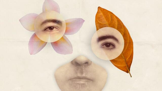 The Girl with Wilderness in Her Garden