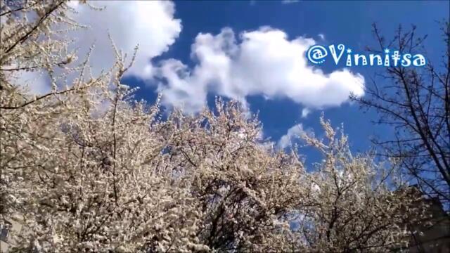 Костянтин Огнєвий    -    СТОЇТЬ ГОРА ВИСОКАЯ