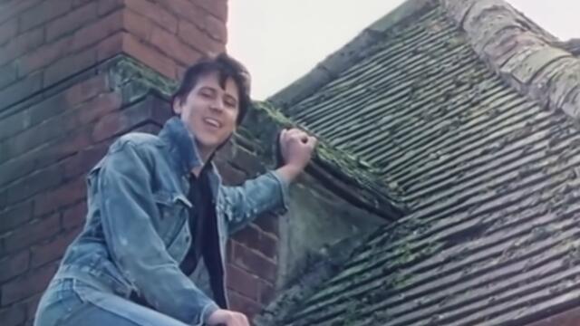 Shakin' Stevens - This Ole House (Official HD Video)