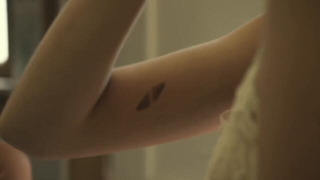 Avicii - Wake Me Up (Official Video)