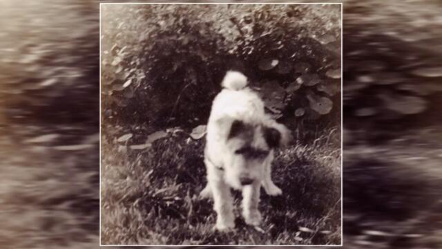 Rapt - None Of This Will Matter (2020) (Full Album)