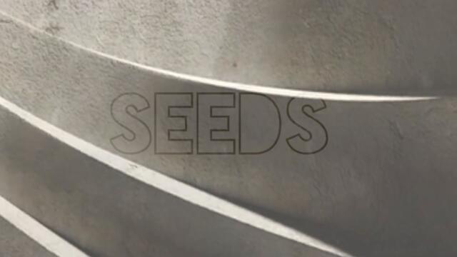 The Connecting Dots - Move On