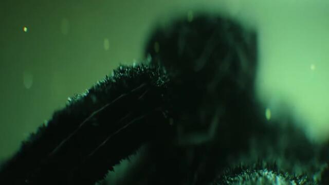 WoW's Hidden World: Classic Roleplay