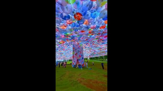 Best of the Week - Лучшее за Неделю #60 Самые смешные видео, фейлы и лучшие приколы тикток 2022