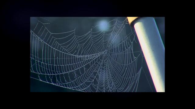 Why They're called Sixes (Full Reading)