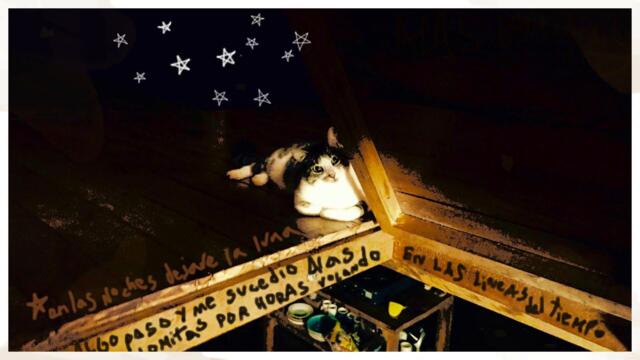 El Gaviero - ALAS LOMITAS (Full Album)