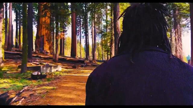 JAZZ JUNE - ANSWERS IN THE SUN (OFFICAL VIDEO)