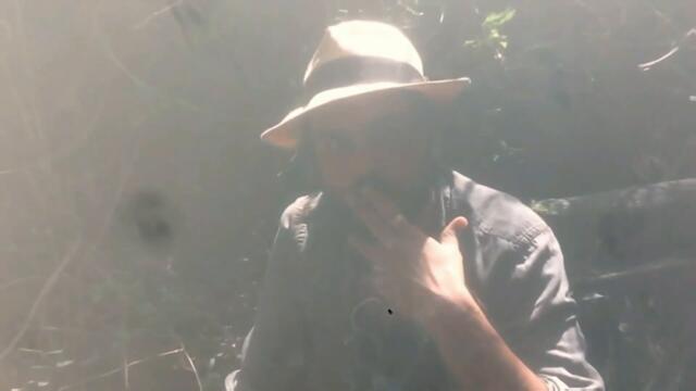 El Gaviero - Mood (Official Music Video)