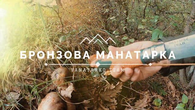 ---ТРЕЙЛЪР--- Изобилие от бронзова #манатарка и #булка гъба в Стара планина !!!