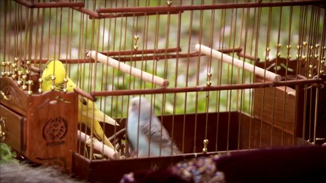 Хюрем и Сюлейман прекарват времето си |  Великолепният век