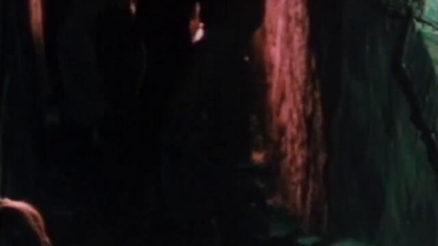 The Death Wheelers - Mondo Trasho (Official Video)