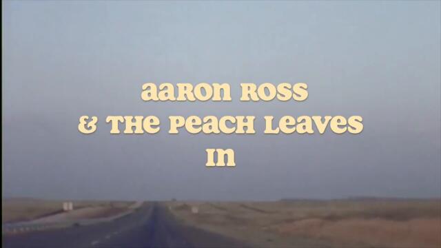 Aaron Ross & The Peach Leaves - Catch a Glimpse Official Music Video