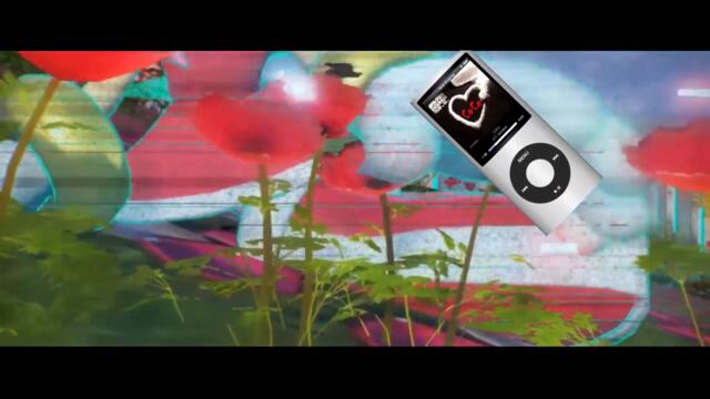 Amy is in love with the Koco