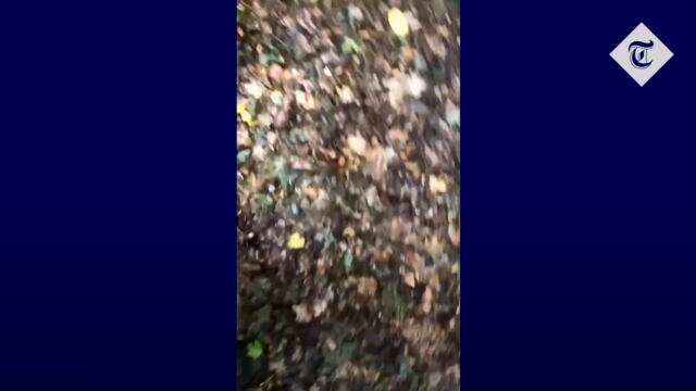 Moment Russian troops surrender to Ukrainian soldiers in Izyum