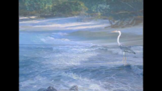 СВИДАНИЕ У МОРЯ -  САКСОФОН