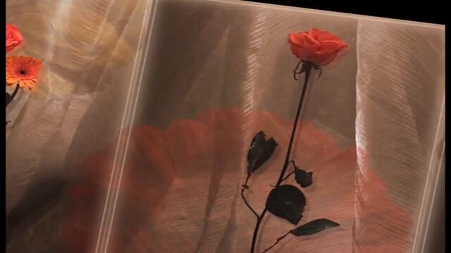 ОСЕНЬ И КРАСИВАЯ МУЗЫКА...