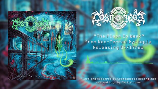 COSMOPHOBE - The Flesh Is Weak (Single) Progressive Technical Deathcore | The Circle Pit