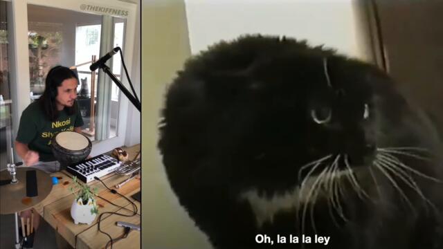 Oh Long Johnson x The Kiffness (Talking Cat Live Looping Reggae Remix)