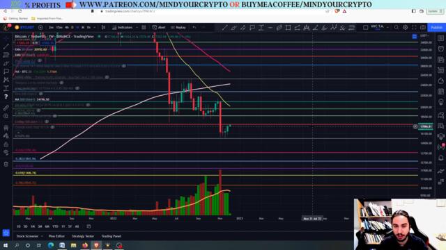 BITCOIN(BTC) : MOST IMPORTANT WEEK IN THE RECENT HISTORY! HERE IS WHY!