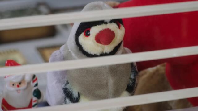 Delivering Christmas | Full Mini-Movie | Lifetime