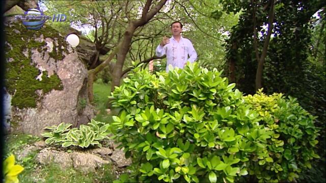 015. IVAN DYAKOV - LILE, LILYANO   Иван Дяков - Лиле, Лиляно, 2010