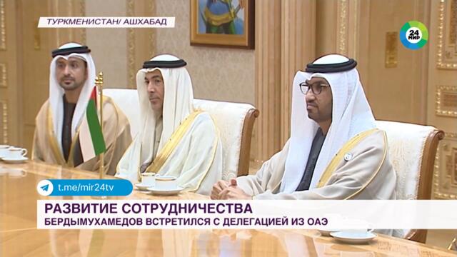 Президент Туркменистана провел переговоры с делегацией ОАЭ о развитии сотрудничества