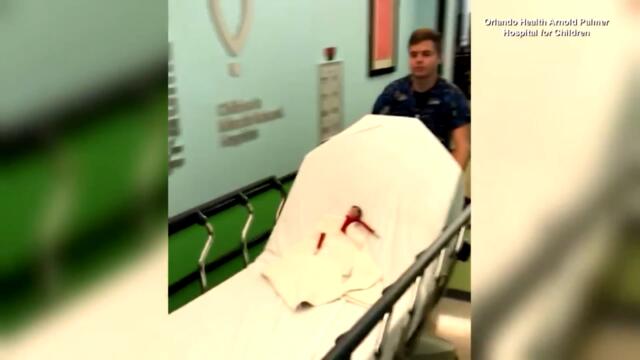 Our Favorite Elf on the Shelf Stories