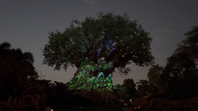 NEW Avatar: The Way of Water Tree of Life Awakenings - Disney’s Animal Kingdom