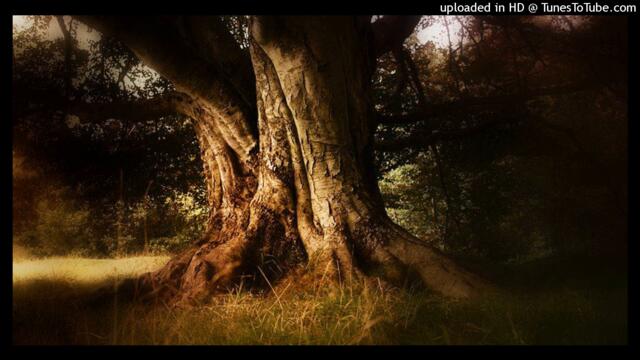 Jessi Colter - Would You Walk With Me (To The Lilies) (Jessi, 1976)