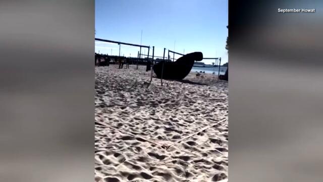 Santa Sure Knows How to Make an Entrance