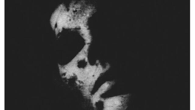 Horses in the Ground