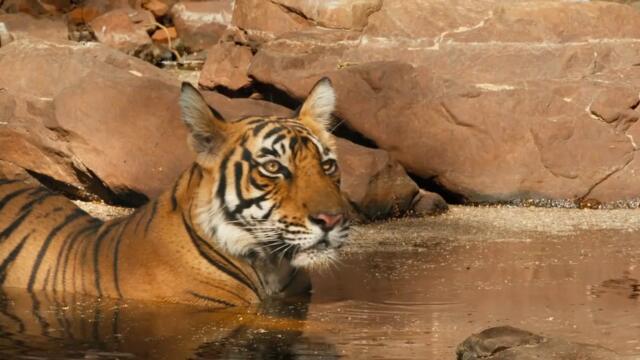 bandicam 2022-11-02 15-50-14-764