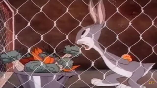 bandicam 2022-11-16 14-42-15-070