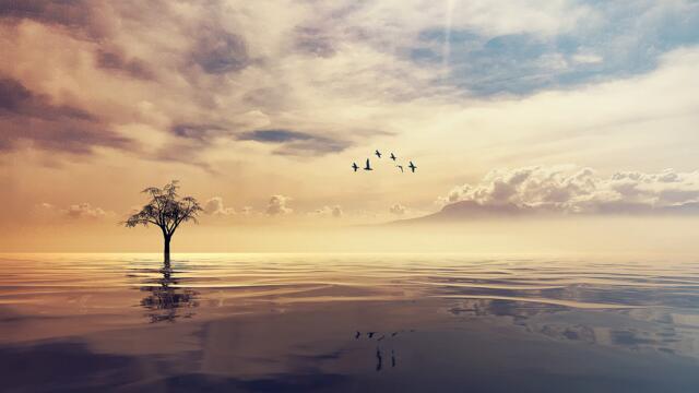 A Beautiful Instrumental Song